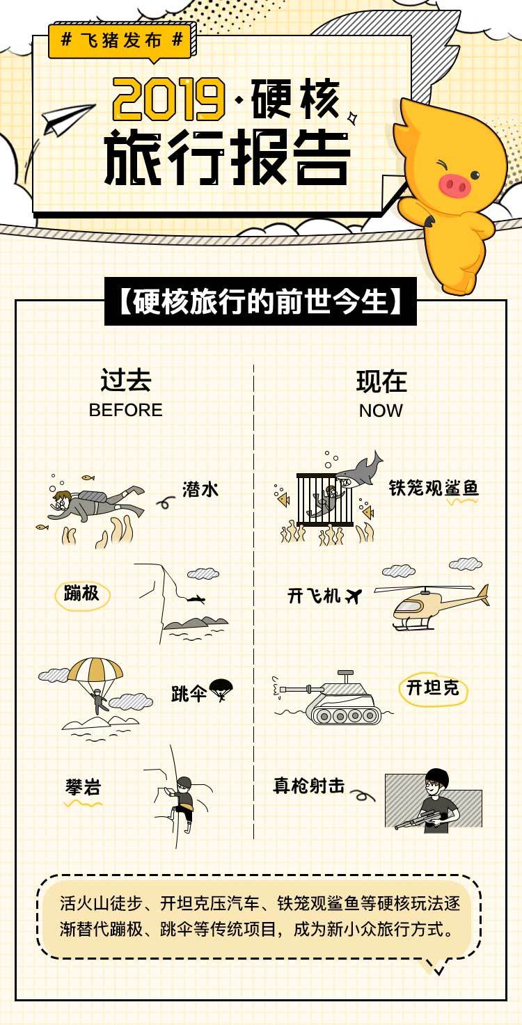 飞猪《2019硬核旅行报告》