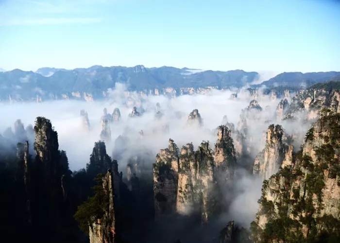 旅游营销倦怠,社交媒体该不该背锅?